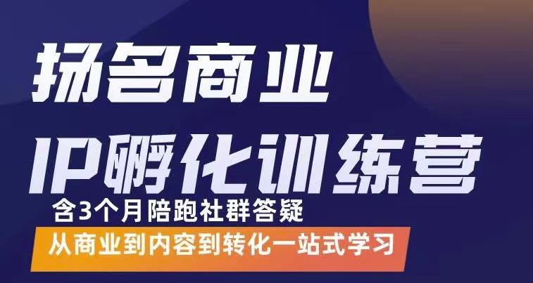 杨名商业IP孵化训练营，从商业到内容到转化一站式学 价值5980元