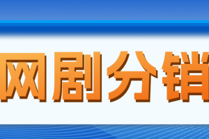 网剧分销，新蓝海项目，很轻松，现在入场是非常好的时机