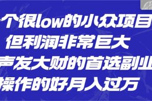 一个很low的小众项目，但利润非常巨大，闷声发大财的首选副业，月入过万