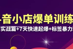 抖音小店爆单训练营VIP线下课：6大实战篇 7天快速起爆 标签暴力玩法(32节)