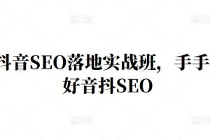 王通·抖音SEO落地实战班，手‬手带你做好音抖‬‬SEO