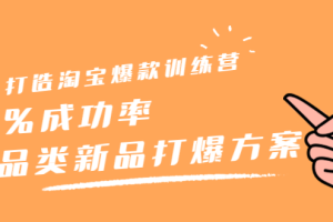 打造淘宝爆款训练营，90%成功率：全品类新品打爆方案