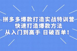 拼多多爆款打造实战特训营：快速打造爆款方法，从入门到高手 日破百单