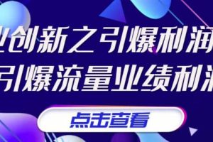 张琦《商业创新之引爆利润增长》引爆流量业绩利润