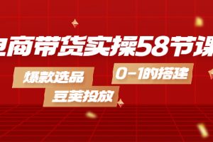 电商带货实操58节课，爆款选品，豆荚投放，0-1的搭建