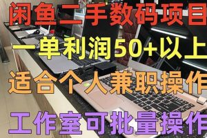 闲鱼二手数码项目，个人副业低保收入，工作室批量放大操作