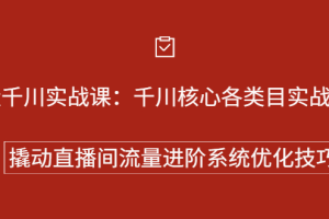 巨量千川实战系列课：千川核心各类目实战打法，撬动直播间流量进阶系统优化技巧