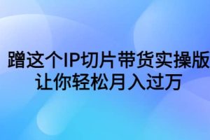 蹭这个IP切片带货实操版，让你轻松月入过万（教程 素材）