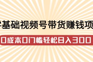 零基础视频号带货赚钱项目，0成本0门槛轻松日入300 【视频教程】