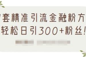 1套精准引流金融粉方法，轻松日引300 粉丝【视频课程】