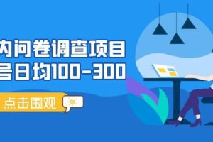 国内问卷调查项目，操作简单，时间灵活