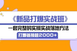 《新品打爆实战班》一套完整的实操实战落地方法，打爆链接超2000 （38节课)