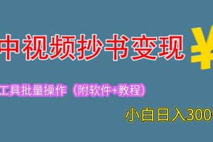 2023中视频抄书变现（附工具 教程），一天300 ，特别适合新手操作的副业