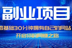 零基础30分钟拥有自己的网站，日赚1000 ，开启你的网赚之路（教程 源码）