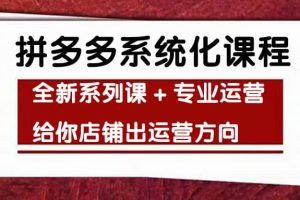 车神陪跑，拼多多系统化课程，全新系列课 专业运营给你店铺出运营方向