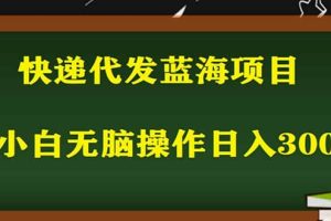 2023最新蓝海快递代发项目，小白零成本照抄