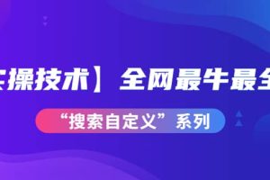 【实操技术】全网最牛最全的“搜索自定义”系列！价值698元