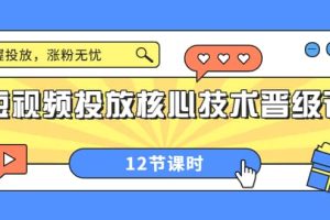 短视频投放核心技术晋级课：掌握投放，涨粉无忧（12节课时）