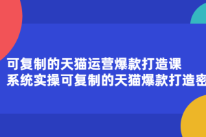 可复制的天猫运营爆款打造课，系统实操可复制的天猫爆款打造密码