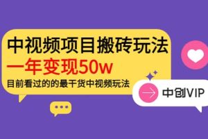 《老吴·中视频项目搬砖玩法，一年变现50w》目前看过的的最干货中视频玩法