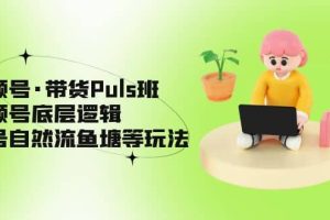 视频号·带货Puls班，视频号底层逻辑，起号自然流鱼塘等玩法