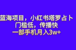 蓝海项目，小红书塔罗占卜，门槛低，传播快，一部手机月入3w