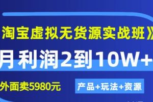 程哥《淘宝虚拟无货源实战班》线上第四期：月利润2到10W （产品 玩法 资源)