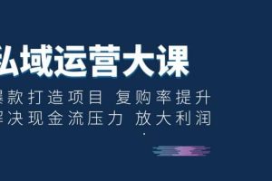 私域运营大课：爆款打造项目 复购率提升 解决现金流压力 放大利润