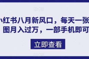 八月新风口，小红书虚拟项目一天收入1000 ，实战揭秘