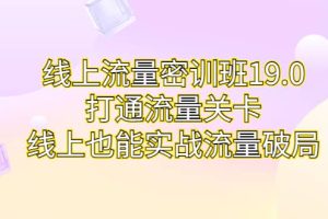 线上流量密训班19.0，打通流量关卡，线上也能实战流量破局