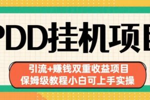 拼多多挂机项目引流 赚钱双重收益项目(保姆级教程小白可上手实操)【揭秘】